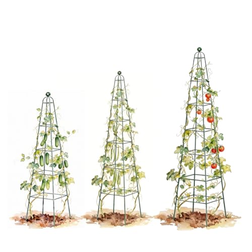 6.5 ft Pyramid Obelisk Garden Trellis, Metal Rustproof Plant Support Rose Trellis, Tower Potted Cages for Flowers Fruits Vegetable Vines Indoor & Outdoor - view 7