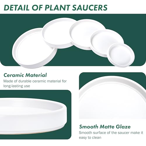 Ceramic Plant Saucer/Drainage Tray, 7.1 in, White, 97-T-A-3 - view 4