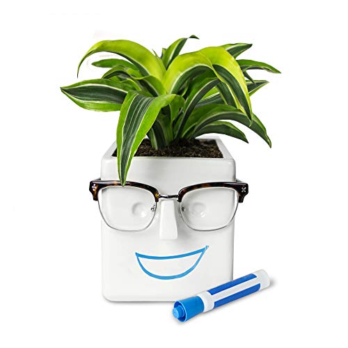 Face Plant, Novelty Planter Holds Small Plants, Glasses & You Can Draw on It. Elegant Ceramic Pot for Succulents, Cacti or Your Average Fern, Perfect Gifting