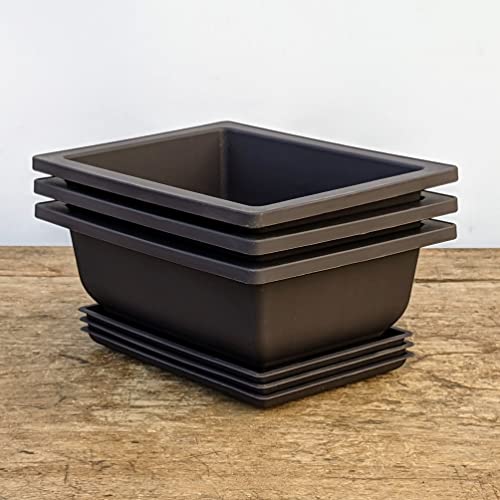 Shallow Bonsai Pots with Drainage Holes and Trays, 6 Inch Training, 3 Pack - view 2