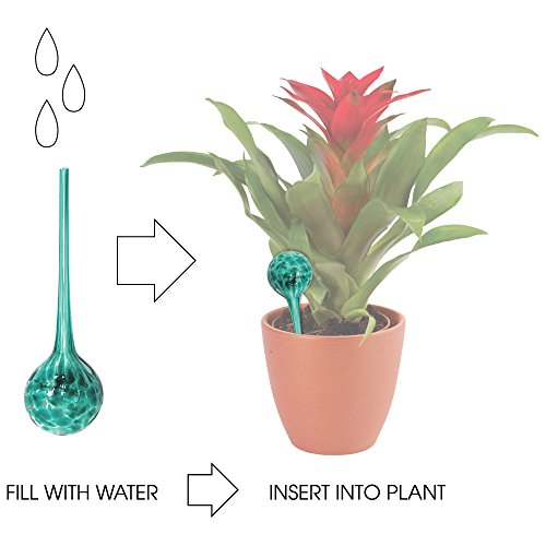 Plant Watering Globe Set, Set of 3, Indoor & Outdoor, Colorful Multicolored Hand-Blown Glass for Everyday Use - view 4