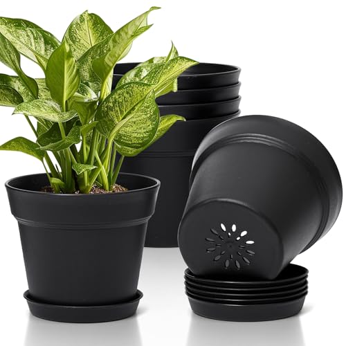 7.5 Inch Plant Pots 6 Pcs, Flower Pots for Indoor Plants Plastic Pots for Plants with Drainage Holes and Saucer, Planters for Indoor Plants for House Cactus Succulent Black