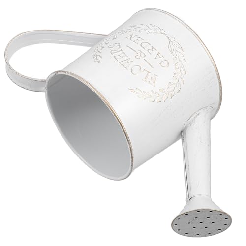 Rustic Metal Watering Can with Long Spout for Precise Pouring
