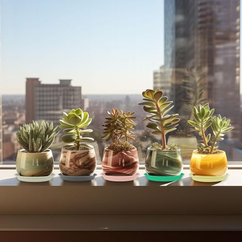 7Pcs Plant Saucer Tray, Heavy Duty Plastic Plant Drip Trays for Indoors and Outdoors, 6 8 10 12 14 16 inch Sizes, Flower Plant Water Tray Base (White 6") - view 4