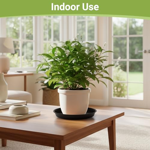 12 Inch Plant Saucer, Black Plant Plates to Catch Water, Pebble Tray for Plant Humidity, Flower Pot Saucers for Indoor and Outdoor Garden(2PCS) - view 6