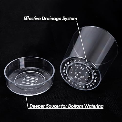 4.5 Inch 6.5 Inch Clear Acrylic Houseplants Planter Pot with Tray, Orchid Pot with Drainage Holes, Deep Saucer for Bottom Watering, Transparent Containers for Indoor Plants, Herbs, 91-B-W - view 5