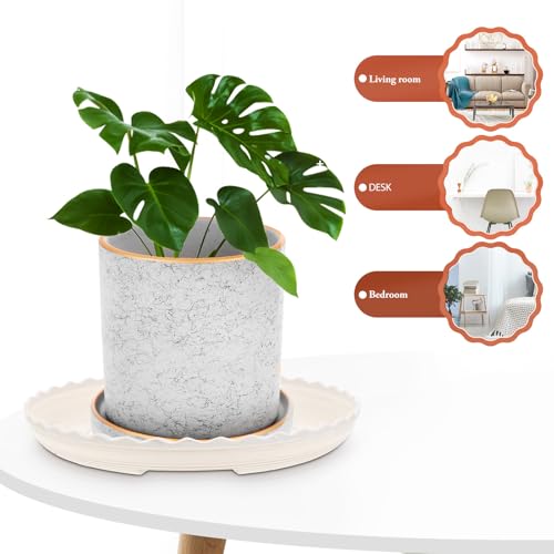 20pcs Plant Saucer Tray Plastic Pot Base for Indoor Plants and Floors - view 3