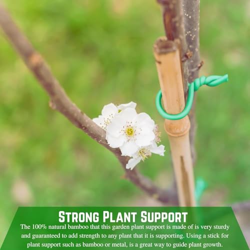 Bamboo Garden Stakes - Bambo Sticks, Bamboo Plant Stakes for Outdoor Plants, Plant Support Stakes for Indoor Plants (7 Foot - 20 Pack) - view 3