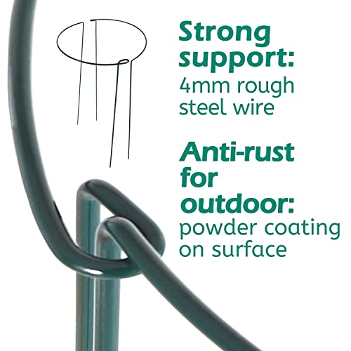 24 Pack Plant Support Stake, Half Round Metal Garden Plant Stake, Green Plant Support Ring, Border Support with Plant Lables & Plant Clips for Outdoor Indoor Plants, Vegetable, Flowers - view 4