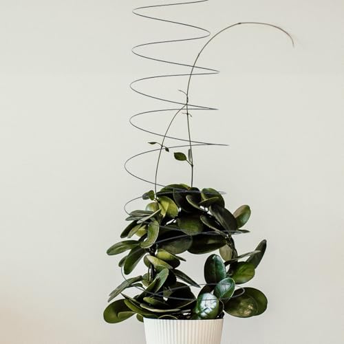 2pcs Spiral Plant Support Stakes Trellis Stainless Steel - view 4
