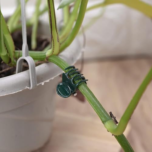 100 Pcs Plant Clips Orchid Clips Plants Orchid Support Clips Flower Vine Clips for Supporting Stems Vines Stalks Climbing Plant Grow Upright - view 4