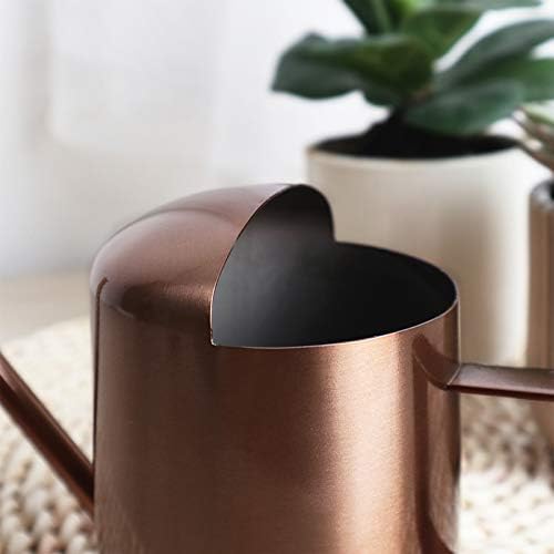 Mini Watering Can, 10oz/300ml Stainless Steel Long Spout Small Watering Can for Indoor Plants Succulents, Herbs (Bronze) - view 4