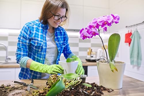 Phalaenopsis Potting Mix - 8 Quarts - view 5