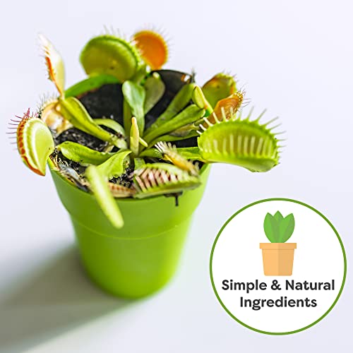 Carnivorous Plant Soil, 4 qt, Venus Fly Trap Potting Mix - view 4