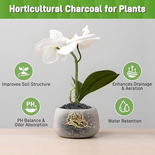 2QT Horticultural Charcoal for Plants - view 3