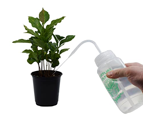 2PK Houseplant Helper Plant Water Bottle, 16oz -Weekly Irrigation Scale Printed on Side - Plant Watering Devices, Succulent Watering Bottle, Indoor House Plant Waterer, Seed Tray Watering Can - view 4