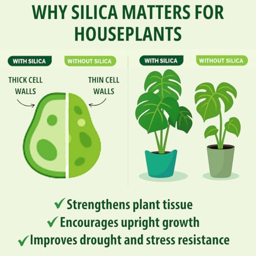 Monstera Growth Power-Duo Bundle – Silica Strength (4.5% Potassium Silicate) + Monstera Plant Food (5-2-3 NPK) | Builds Stronger Stems & Lush Leaves | 2 × 8 oz Concentrates - view 5