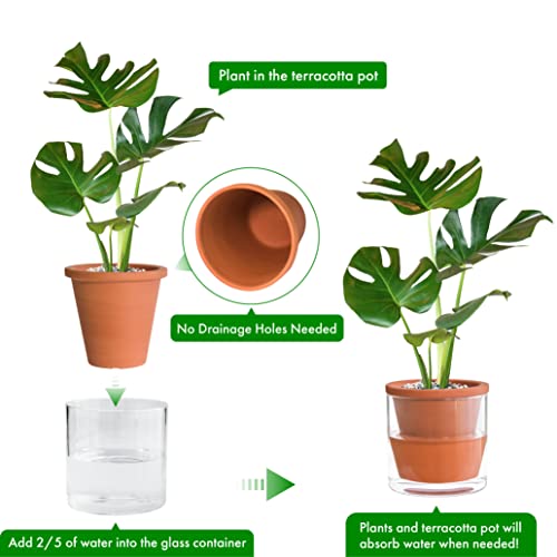 Self Watering Terracotta Planter Pot, 6 in, 2-Pack, 37-Y-B-1 - view 4