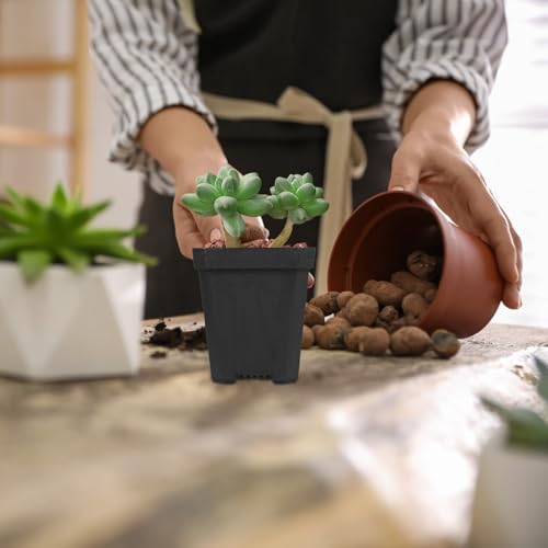 20pcs Small Plastic Succulent Nursery Pots for Plant Propagation - view 6