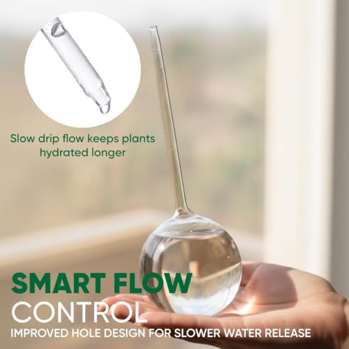 Clear Plant Watering Globes Set of 2, Large - Glass Self Watering Globes - view 4
