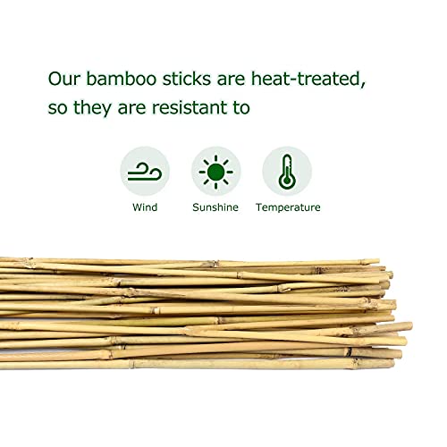 Bamboo Stakes, 4ft Tomato Stakes,25 Pack Bamboo Sticks for Plants - view 3