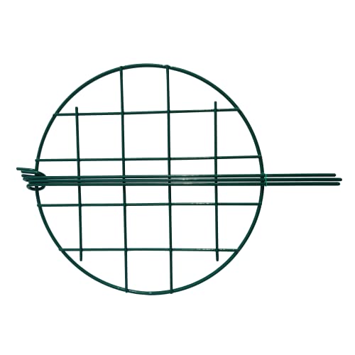 10 Pack 12 x 16 inch Poeny Cage Grow Through Grid Plant Brace Flower Support Rings,Round Metal Plant Stakes Rings, Strong Large Garden Supports for Flowers, Peonies, Rose, Lily - view 3