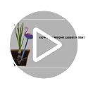 Self Watering Globes 2 Pack Glass Plant Waterer Flamingo Pink 10in - view 7