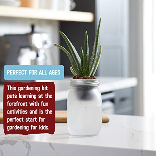 Self Watering Grow Kit - Glass Hydroponic Planters for Succulents and Cacti Self-Watering System - view 2