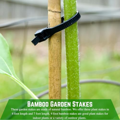 Bamboo Garden Stakes - Bambo Sticks, Bamboo Plant Stakes for Outdoor Plants, Plant Support Stakes for Indoor Plants (7 Foot - 20 Pack) - view 2