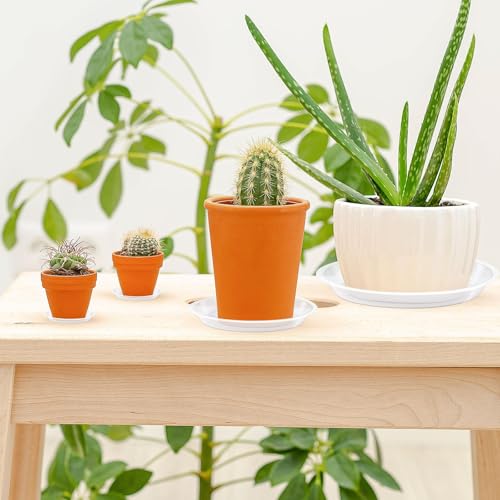 18 Pack Plant Saucer, Clear Drip Trays for Potted Plants, 4 Sizes - view 6