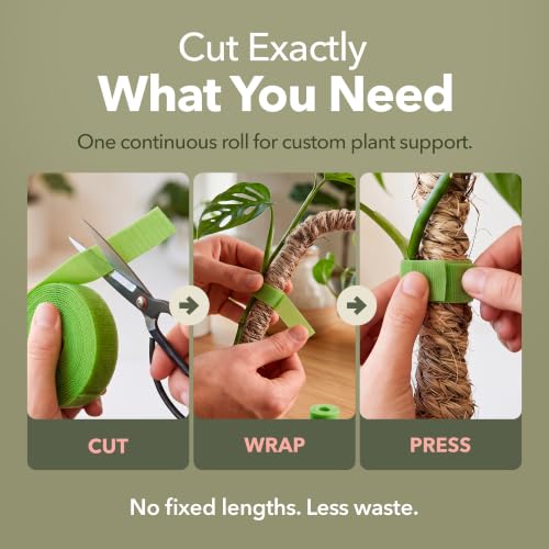 Plant Tape 10 ft, Reusable Hook & Loop Ties for Climbing Plants - view 3