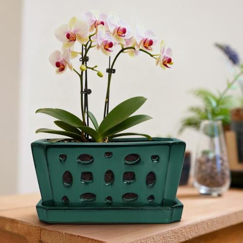 Ceramic Orchid Pot with Saucer & Holes, Large Rectangle Repotting Plant Pot with Gloves & 3 PCS Shovels, Thickened Glazed Decorative Planter, Slotted Flower Container for Good Air Circulation - view 6