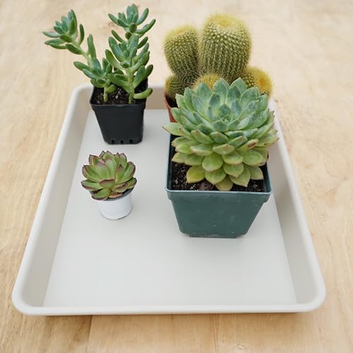 2 Pack Rectangular Plant Saucer Tray, Heavy Duty Plastic, Beige, 17.5" x 10.6" x 1.5" (2 pack), Plant Drip Trays for Pots, Seed Starter Growing Trays, Indoor/Outdoor Use - view 5