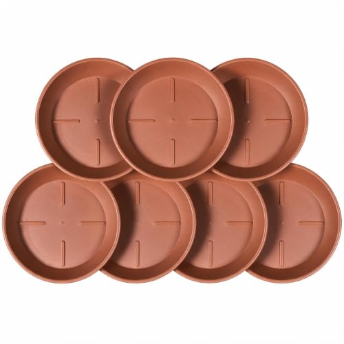7 Pack Ventilated Plant Saucer, 10 Inch Terracotta Drainage Tray
