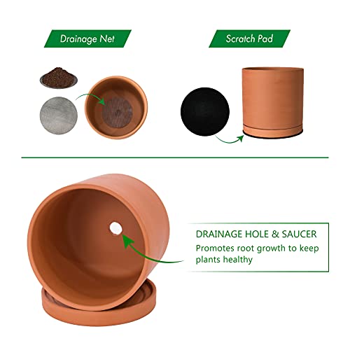 Terracotta Plant Pot with Saucer, 6 Inch, 40-X-A-3 - view 4