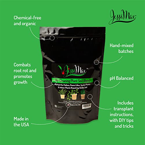 Potting Soil - 4-Quart Bag, Perlite - Well-Draining Snake Plant Soil - Slightly Acidic Potting Mix for Indoor Plants - view 3