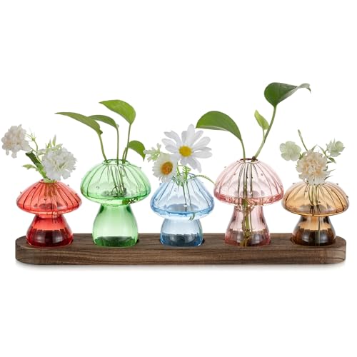 Mushroom Glass Plant Propagation Station with Wooden Stand 5Pcs