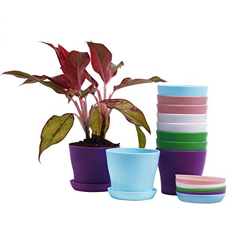10 Pcs Plastic Planters Indoor Pots with Pallet - view 6