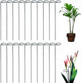 36 Inches Single Stem Plant Support Stakes Steel Garden Stakes Plant Stem Support, Pack of 20