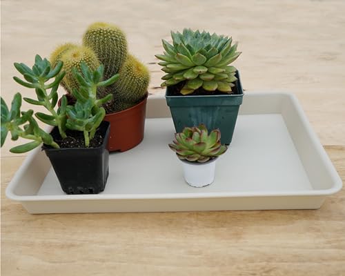 2 Pack Rectangular Plant Saucer Tray, Heavy Duty Plastic, Beige, 17.5" x 10.6" x 1.5" (2 pack), Plant Drip Trays for Pots, Seed Starter Growing Trays, Indoor/Outdoor Use - view 4
