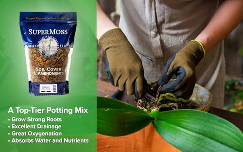 (23104) Orchid Potting Mix – Premium Orchid Soil with Fir Bark, Organic Moss & River Sand – Well Draining Orchid Bark Mix for Indoor Plants, Repotting, and Healthy Root Growth, 2qt - view 5