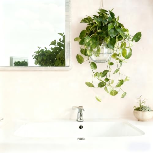 4 pcs Glass Wall Hanging Planter, Oval Terrarium Vase, Propagation Station for Hydroponics, Indoor Plants, Home Office Decor (Medium) - view 5