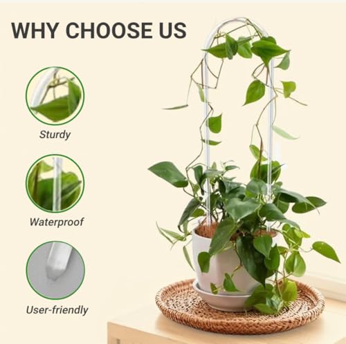 2 Pack U-Shaped Clear Acrylic Plant Supports - 14 inches Indoor/Outdoor Climbing Vine Trellis for Potted Plants, Ideal for Ivy & Tropical Houseplants,Plant Support Hoya Trellis - view 3