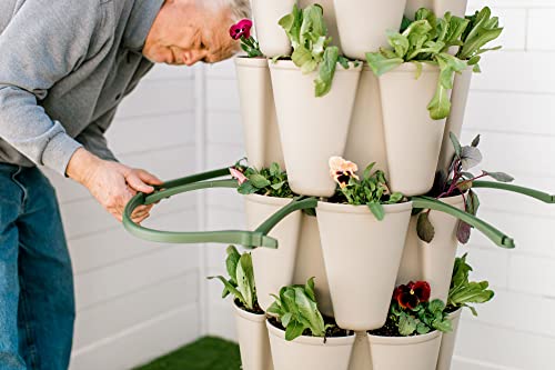 Set of 3 Plant Supports for Growing Tomatoes, Cucumbers, Peppers, Eggplant, and Squash Vertically in a Vertical Planter - view 6