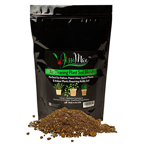 Potting Soil - 4-Quart Bag, Perlite - Well-Draining Snake Plant Soil - Slightly Acidic Potting Mix for Indoor Plants - view 2