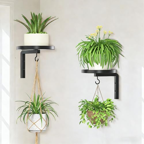 Other Gardening Supplies Metal 15cm Tray with Hooks Indoor Hanging Planter Shelf Space Saving for Small Spaces Kitchen Bathroom Living Room Wall Mounted Plant Stand, Wall Mounted (2PCS) - view 2