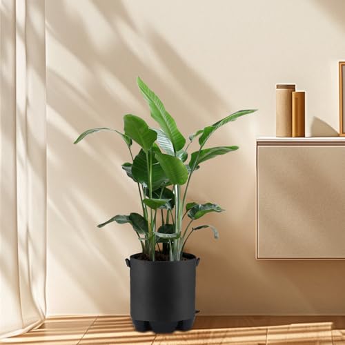 4 Pack Self Watering Fabric Pot Base with 5 Gallon Grow Bag - view 7
