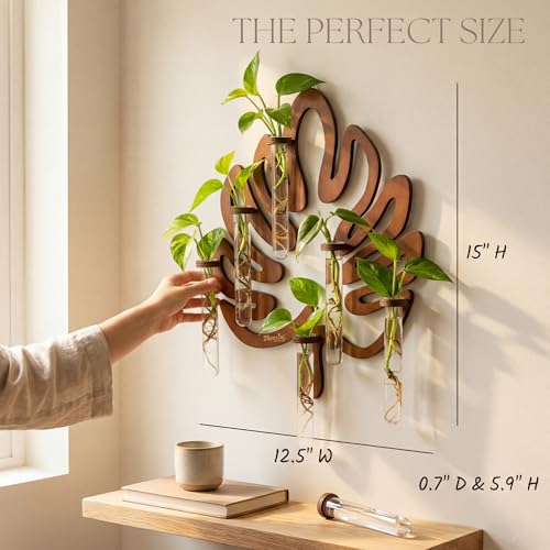 Leaf-Shaped Plant Hanging Propagation Stations with 6 Glass Vases & 1 Spare - view 4