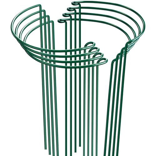 Peony Cages and Supports 24" H x 10" W, 8 Pack Tall Snake Plant Support Stake Half Round Metal Garden Stake for Indoor and Outdoor Plants, Flower Support Ring Border for Tomato,Hydrangea,Rose