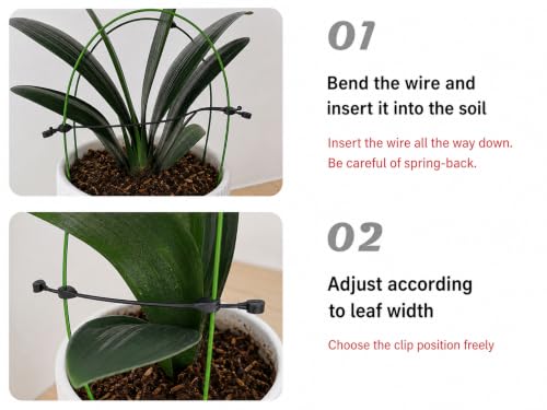 4PCS-Pack Adjustable Clivia Leaf Spacer and Plant Support, Leaf Spacing Tool with Flexible Coated Wire Frame, Reusable Leaf Guide for Broad-Leaf Indoor Potted Plants - view 7